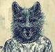 from australia-brother-by-jack the fox-indie folk-new music-indie music-music blog-wolfinasuit-wolf in a suit