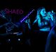 in the scene-shaed-indie pop-live music-new music-indie music-mitchell straub-indie-music blog-indie blog-wolfinasuit-wolf in a suit