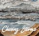 new music alert-chasing storms-by-colton venner-indie music-indie rock-indie-new music-music blog-indie blog-texas-wolf in a suit-wolfinasuit