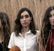 music video recommendation-crumbled-by-little quirks-Australia-indie music-new music-indie folk-music blog-indie blog-wolf in a suit-wolfinasuit-wolf in a suit blog-wolf in a suit music blog