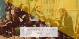 premiere - a better pet - by - curtsy - california - indie music - new music - indie rock - music blog - indie blog - wolf in a suit - wolfinasuit - wolf in a suit blog - wolf in a suit music blog