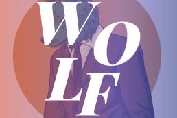 call me professor wolf in a suit - indie music - new music - indie pop - indie rock - indie folk - music blog - wolf in a suit - wolfinasuit - wolf in a suit blog