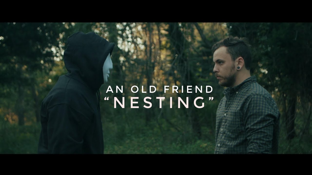 music video - nesting - an old friend - indie - indie music - indie rock - new music - music blog - wolf in a suit - wolfinasuit - wolf in a suit blog - wolf in a suit music blog