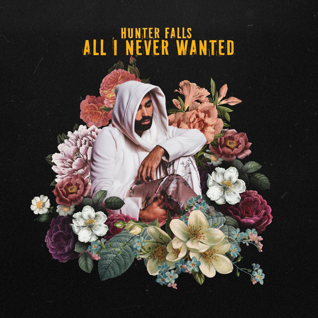 all i never wanted - hunter falls - germany - indie - indie music - indie pop - new music - music blog - wolf in a suit - wolfinasuit - wolf in a suit blog - wolf in a suit music blog