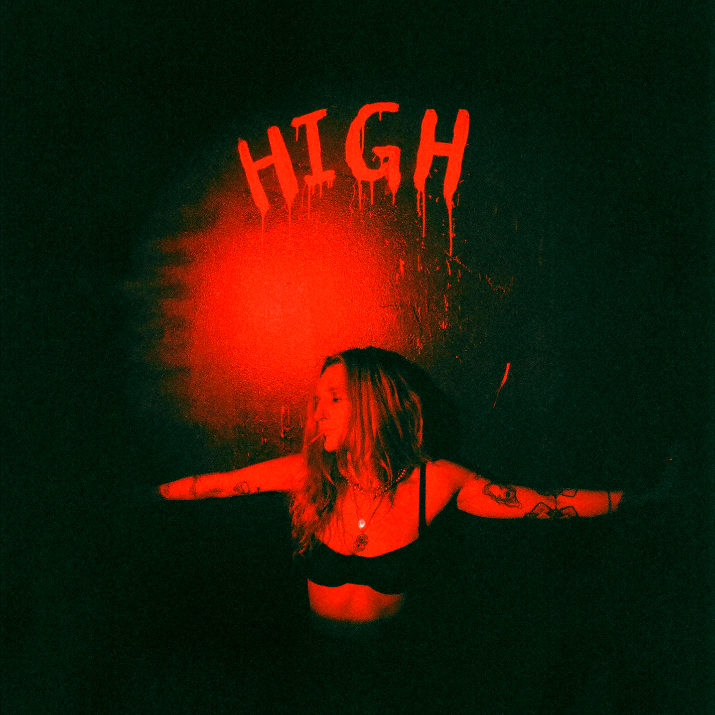 i can't get high - royal & the serpent - usa - indie - indie music - indie pop - indie rock - indie folk - new music - music blog - wolf in a suit - wolfinasuit - wolf in a suit blog - wolf in a suit music blog
