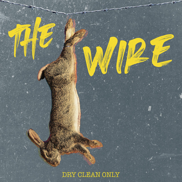 the wire - dry clean only - usa - indie - indie music - indie pop - indie rock - indie folk - new music - music blog - wolf in a suit - wolfinasuit - wolf in a suit blog - wolf in a suit music blog