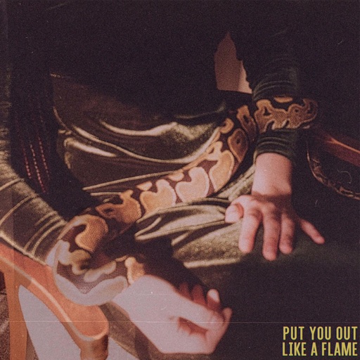 put you out like a flame - blood honey - usa - indie - indie music - indie pop - indie rock - indie folk - new music - music blog - wolf in a suit - wolfinasuit - wolf in a suit blog - wolf in a suit music blog