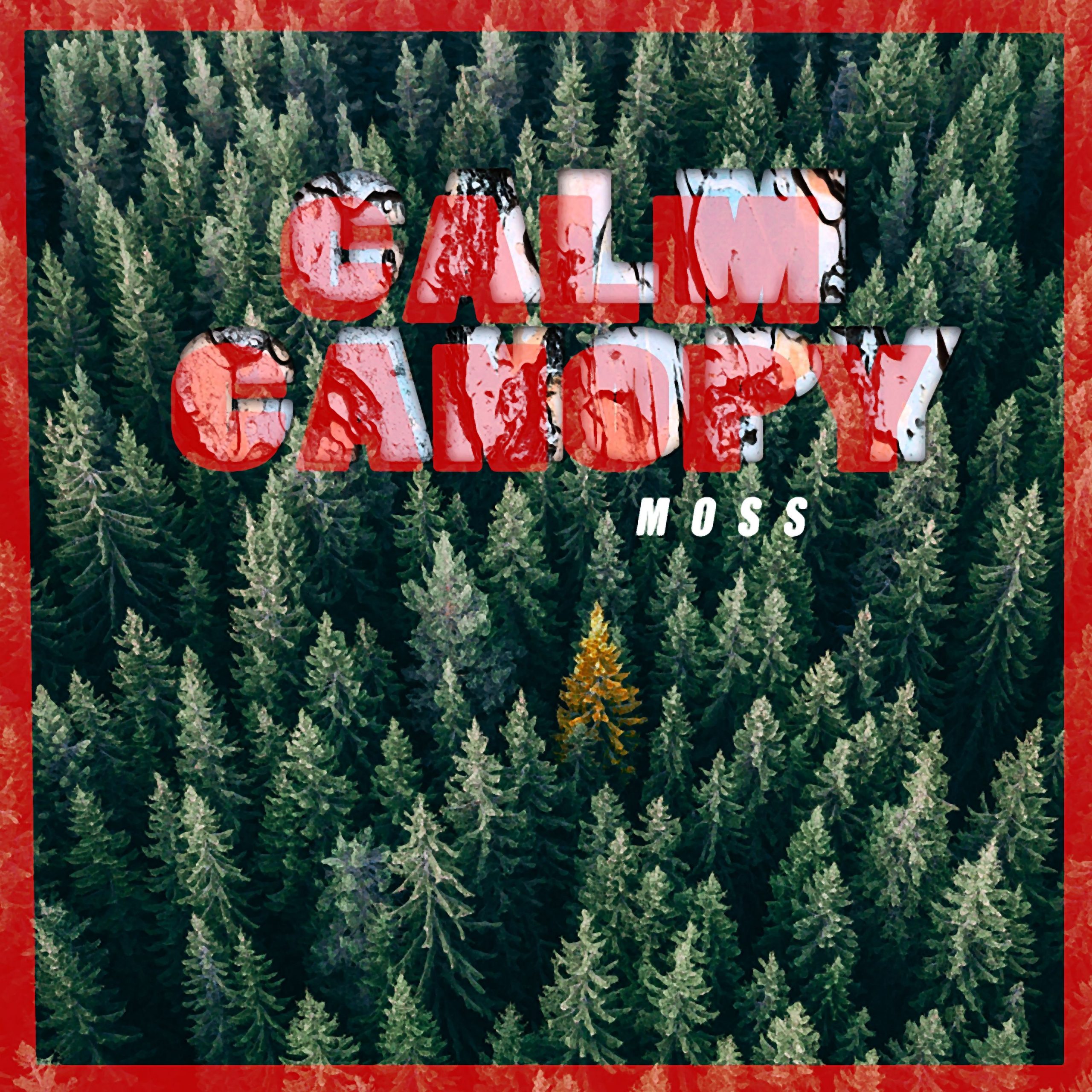 moss - calm canopy - canada - indie - indie music - indie pop - indie rock - indie folk - new music - music blog - wolf in a suit - wolfinasuit - wolf in a suit blog - wolf in a suit music blog