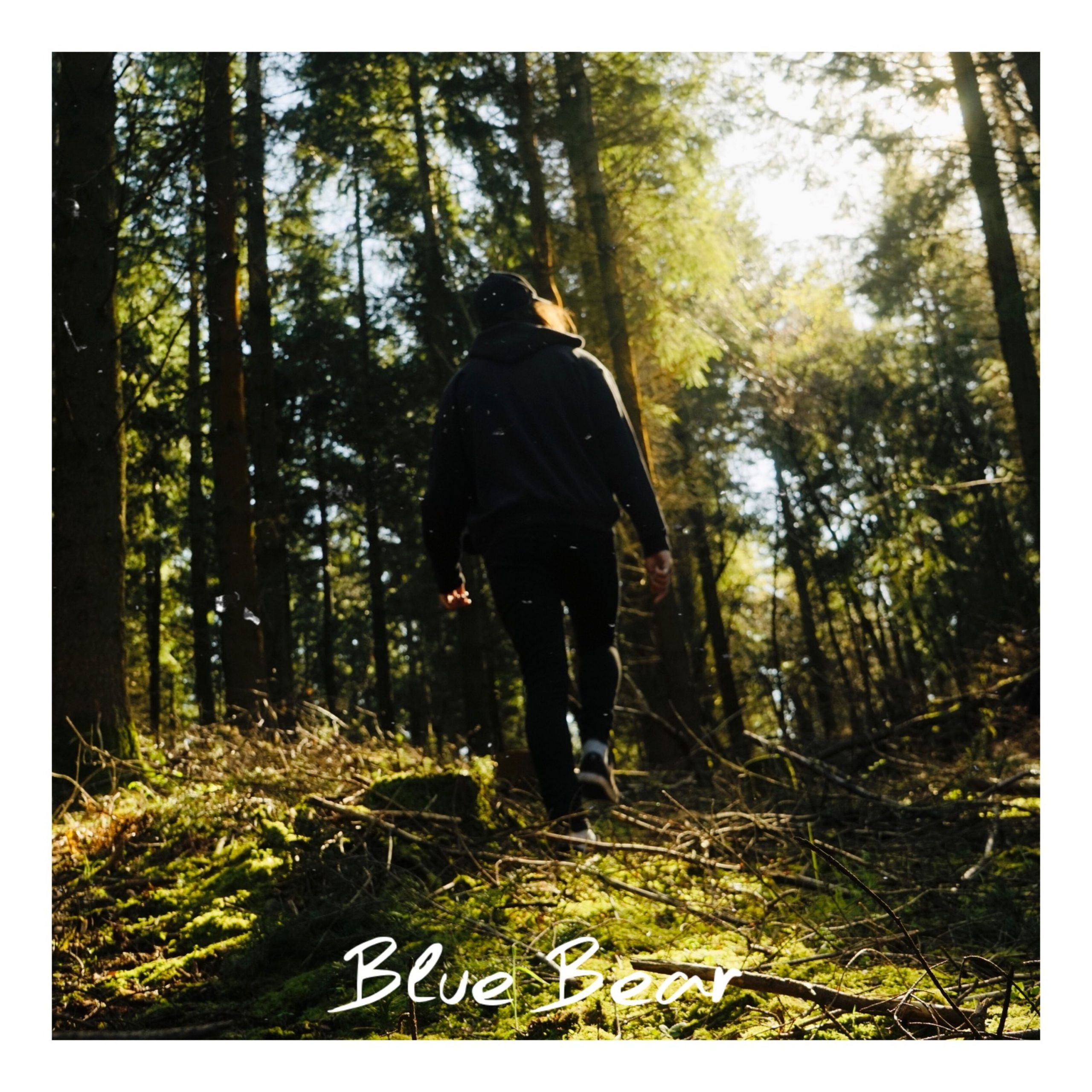 blue bear - taylor t - UK - indie - indie music - indie rock - new music - music blog - wolf in a suit - wolfinasuit - wolf in a suit blog - wolf in a suit music blog