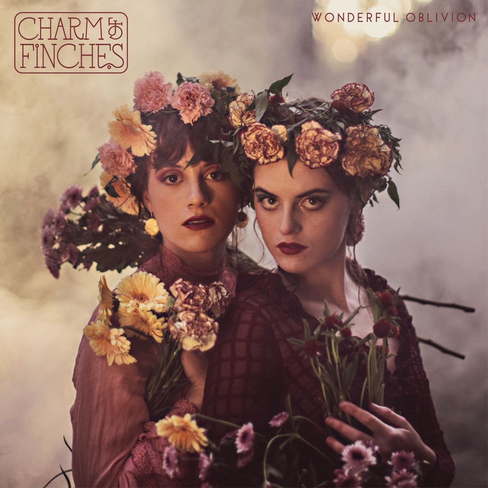 canyon - charm of finches - australia _ indie - indie music - indie pop - indie rock - indie folk - new music - music blog - wolf in a suit - wolfinasuit - wolf in a suit blog - wolf in a suit music blog