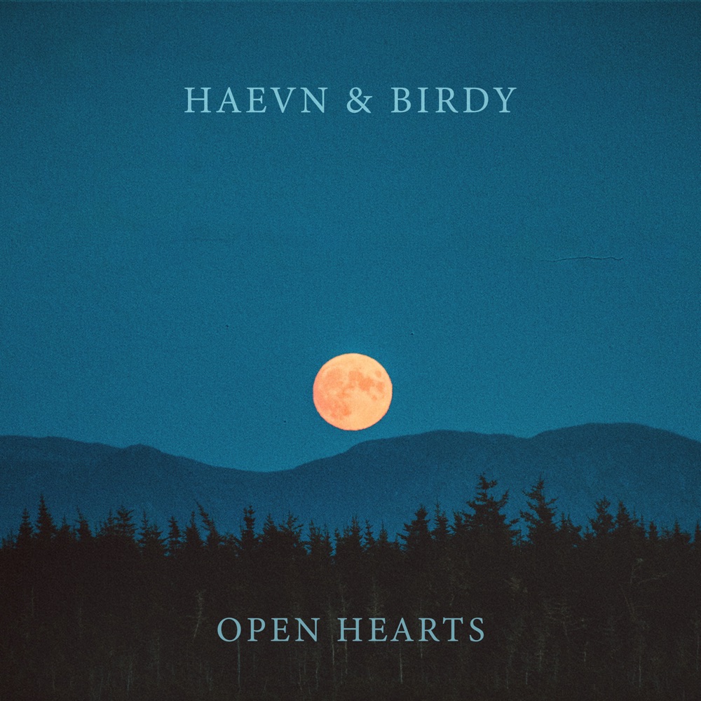 open hearts - birdy - haevn - netherlands - indie - indie music - indie pop - new music - music blog - wolf in a suit - wolfinasuit - wolf in a suit blog - wolf in a suit music blog