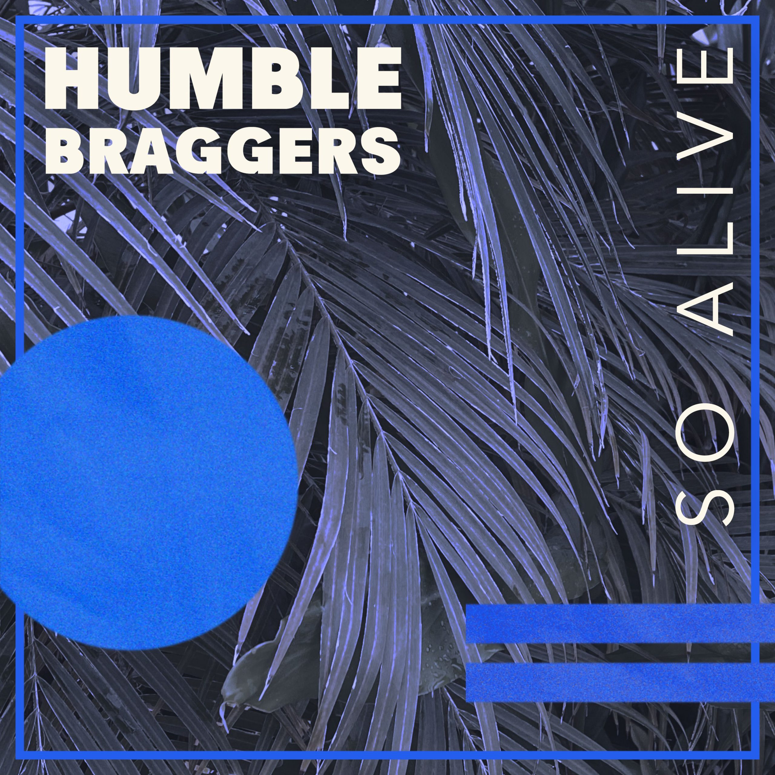so alive - humble braggers - usa - indie - indie music - indie pop - indie rock - indie folk - new music - music blog - wolf in a suit - wolfinasuit - wolf in a suit blog - wolf in a suit music blog