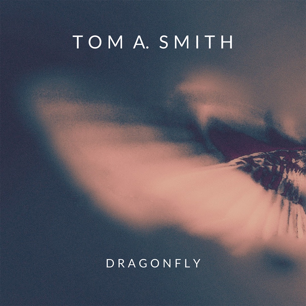 dragonfly - tom a. smith - UK - indie - indie music - indie rock - new music - music blog - wolf in a suit - wolfinasuit - wolf in a suit blog - wolf in a suit music blog