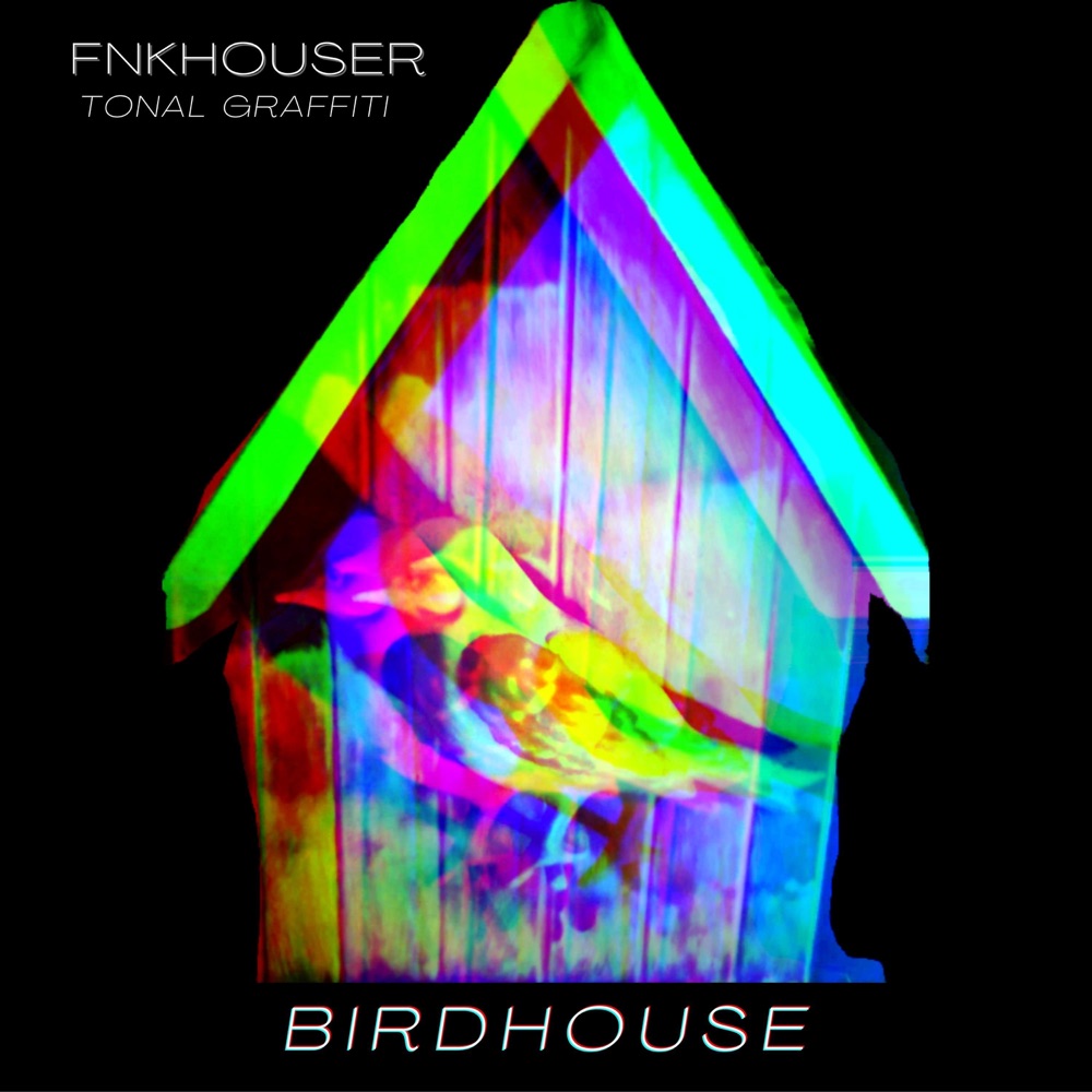 birdhouse - fnkhouser - tonal graffiti - usa - indie - indie music - indie pop - indie rock - indie folk - new music - music blog - wolf in a suit - wolfinasuit - wolf in a suit blog - wolf in a suit music blog