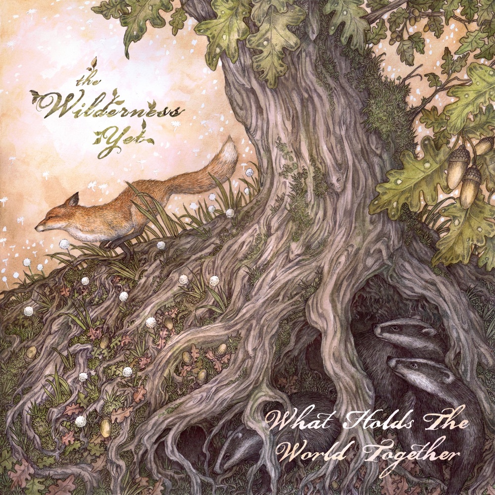 what holds the world together - The Wilderness Yet - united kingdom - uk - indie music - indie folk - new music - music blog - wolf in a suit - wolfinasuit - wolf in a suit blog - wolf in a suit music blog