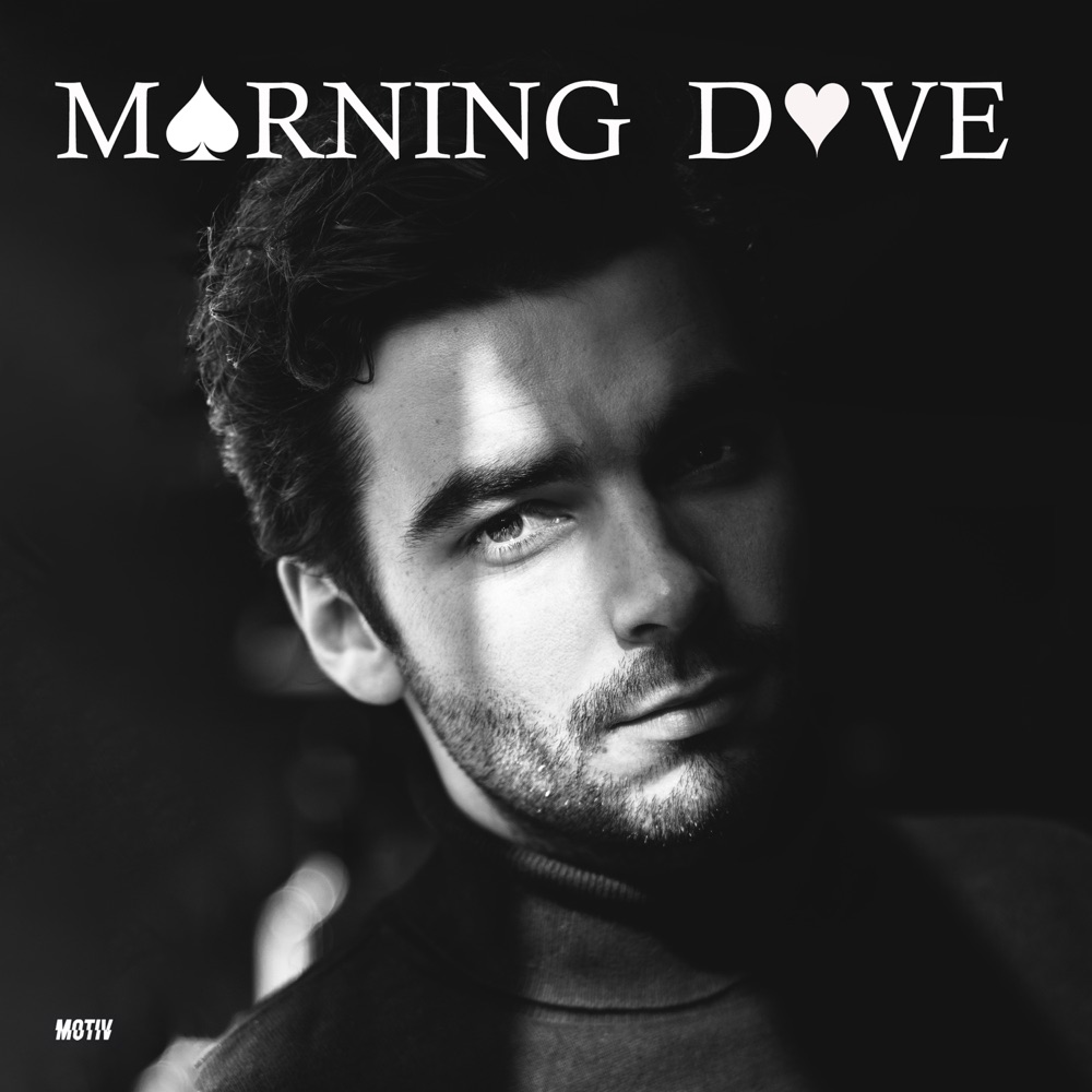 morning dove - bordoo - belgium - indie - indie music - indie pop - indie rock - indie folk - new music - music blog - wolf in a suit - wolfinasuit - wolf in a suit blog - wolf in a suit music blog