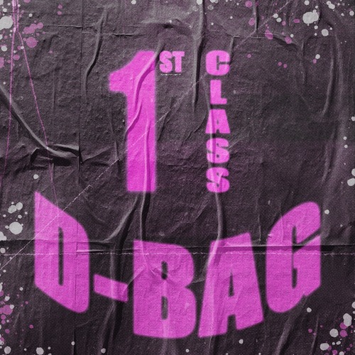 1st Class D-Bag - Daimy Lotus - netherlands - indie - indie music - indie rock - new music - music blog - wolf in a suit - wolfinasuit - wolf in a suit blog - wolf in a suit music blog