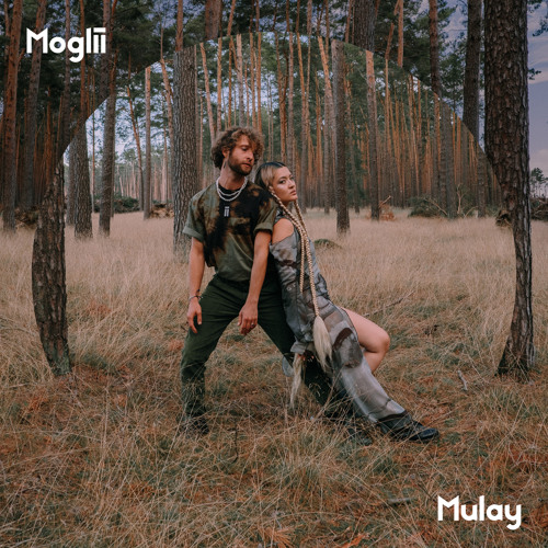 sunliight - mulay - Moglii - germany - indie - indie music - indie pop - indie rock - indie folk - new music - music blog - wolf in a suit - wolfinasuit - wolf in a suit blog - wolf in a suit music blog