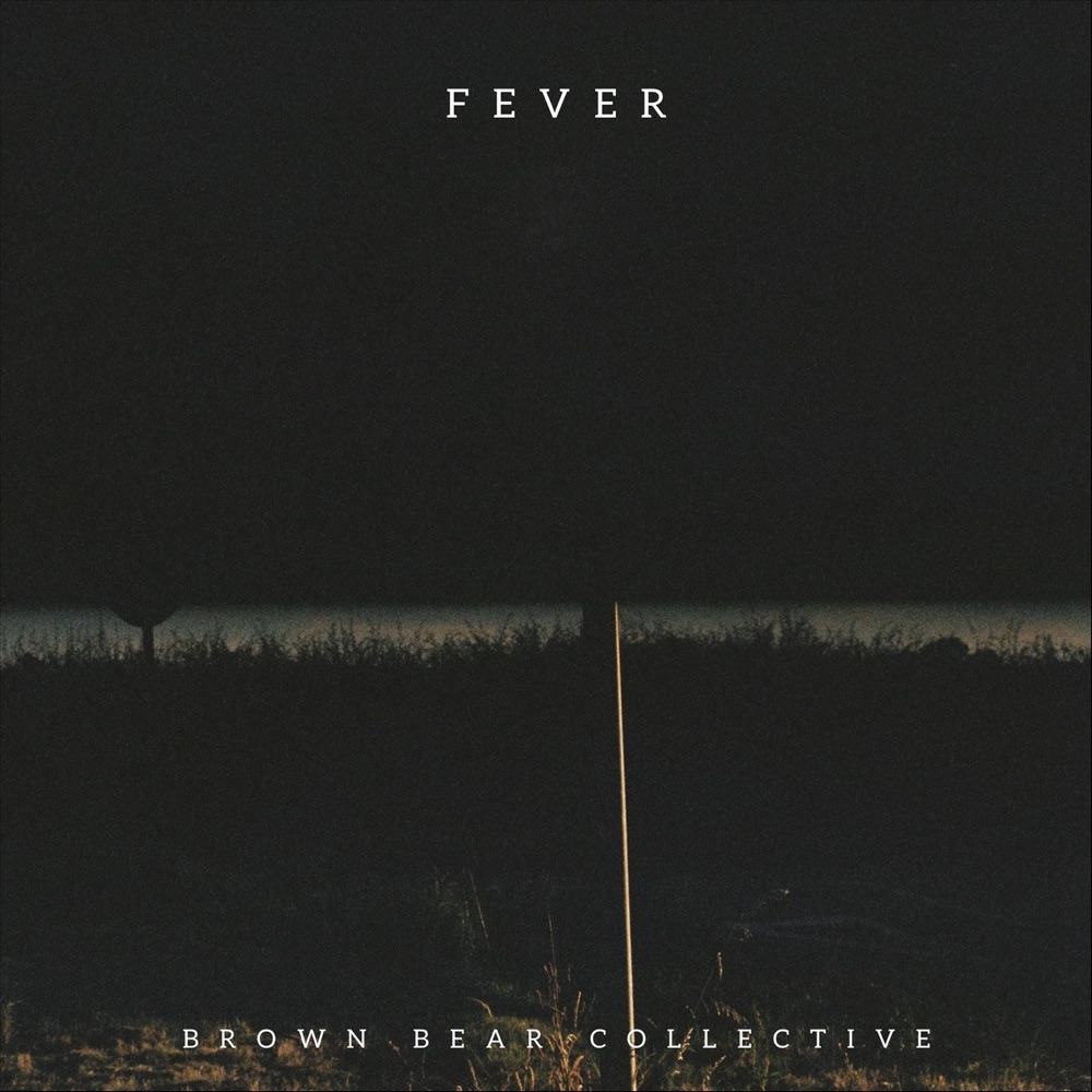 fever - brown bear collective - UK - indie - indie music - indie pop - indie rock - indie folk - new music - music blog - wolf in a suit - wolfinasuit - wolf in a suit blog - wolf in a suit music blog