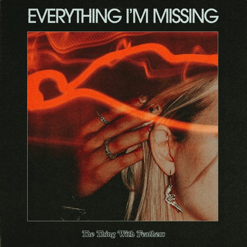 everything i'm missing - The Thing With Feathers - usa - indie - indie music - indie pop - indie rock - indie folk - new music - music blog - wolf in a suit - wolfinasuit - wolf in a suit blog - wolf in a suit music blog