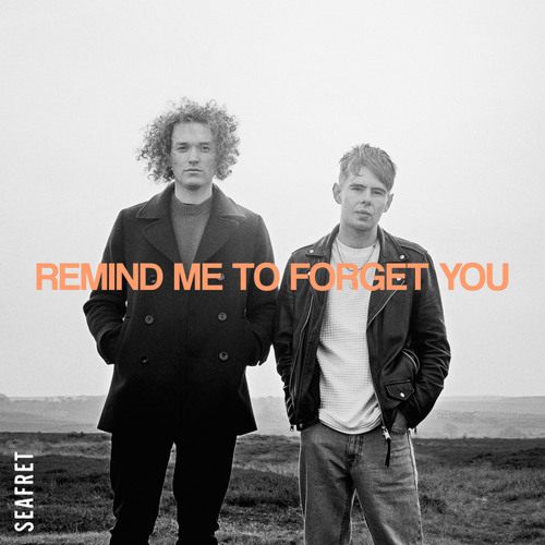 remind me to forget you - seafret - united kingdom - uk - indie - indie music - indie pop - new music - music blog - wolf in a suit - wolfinasuit - wolf in a suit blog - wolf in a suit music blog
