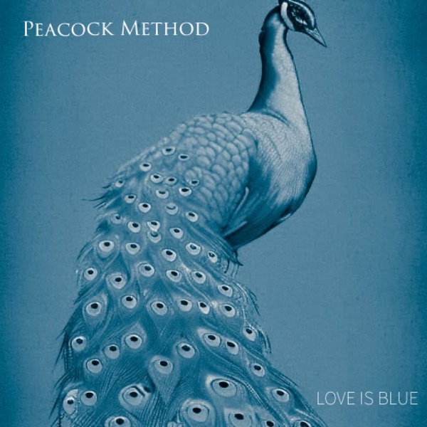love is blue - peacock method - united kingdom - uk - indie - indie music - indie pop - new music - music blog - wolf in a suit - wolfinasuit - wolf in a suit blog - wolf in a suit music blog