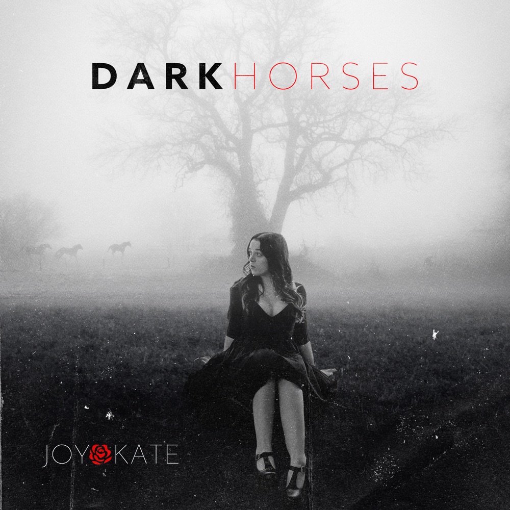 dark horses - joy kate - usa - indie - indie music - indie pop - indie rock - indie folk - new music - music blog - wolf in a suit - wolfinasuit - wolf in a suit blog - wolf in a suit music blog