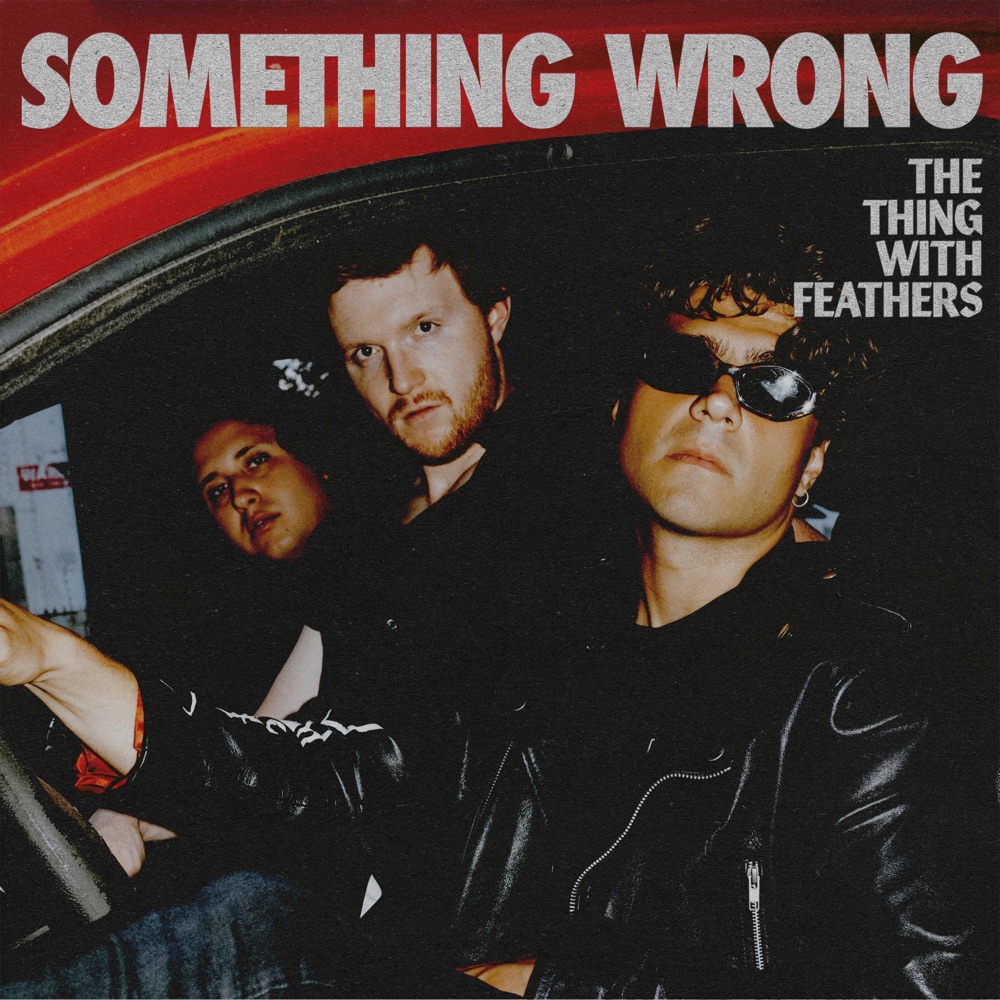 something wrong - The Thing With Feathers - usa - indie - indie music - indie pop - indie rock - indie folk - new music - music blog - wolf in a suit - wolfinasuit - wolf in a suit blog - wolf in a suit music blog