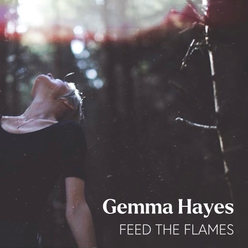 feed the flames - Gemma Hayes - Ireland - indie - indie music - indie pop - indie rock - indie folk - new music - music blog - wolf in a suit - wolfinasuit - wolf in a suit blog - wolf in a suit music blog