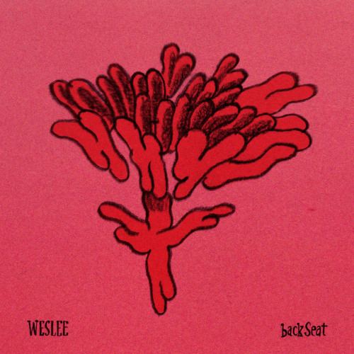 backseat - WESLEE - usa - indie - indie music - indie pop - indie rock - indie folk - new music - music blog - wolf in a suit - wolfinasuit - wolf in a suit blog - wolf in a suit music blog