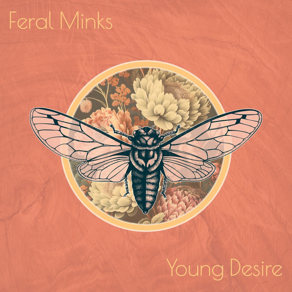 young desire - Feral Minks - Canada - indie - indie music - indie pop - indie rock - indie folk - new music - music blog - wolf in a suit - wolfinasuit - wolf in a suit blog - wolf in a suit music blog