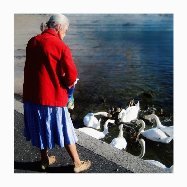 give us a place - remedies - norway - indie - indie music - indie rock - new music - music blog - wolf in a suit - wolfinasuit - wolf in a suit blog - wolf in a suit music blog