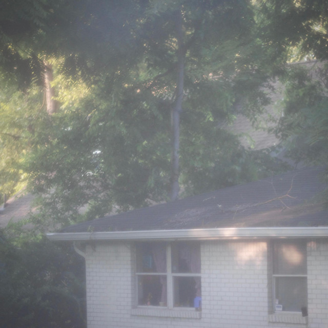 wanted - honeyed - usa - indie - indie music - indie pop - indie rock - indie folk - new music - music blog - wolf in a suit - wolfinasuit - wolf in a suit blog - wolf in a suit music blog