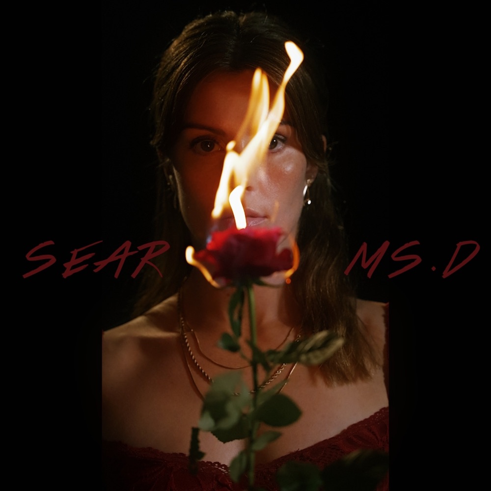 sear - Ms.D - Australia - indie - indie music - indie pop - indie rock - indie folk - new music - music blog - wolf in a suit - wolfinasuit - wolf in a suit blog - wolf in a suit music blog