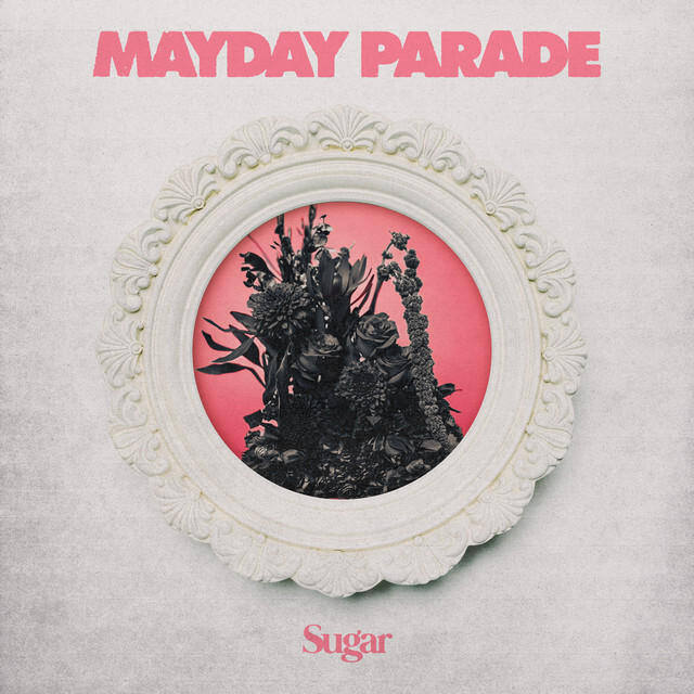 sweet sad sugar - Mayday Parade - usa - indie - indie music - indie pop - indie rock - indie folk - new music - music blog - wolf in a suit - wolfinasuit - wolf in a suit blog - wolf in a suit music blog