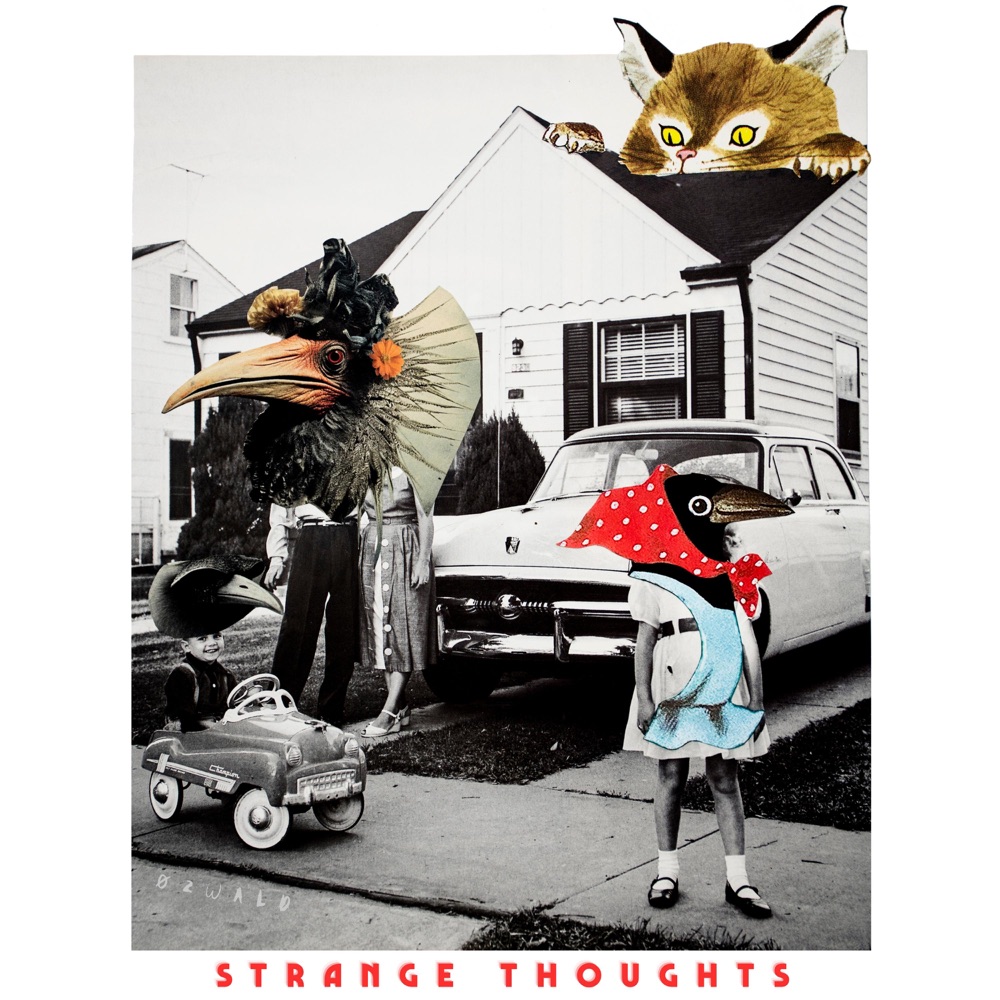 strange thoughts - OZWALD - ØZWALD - usa - indie - indie music - indie pop - indie rock - indie folk - new music - music blog - wolf in a suit - wolfinasuit - wolf in a suit blog - wolf in a suit music blog