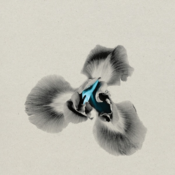 iris - 2ŁØT - usa - indie - indie music - indie pop - indie rock - indie folk - new music - music blog - wolf in a suit - wolfinasuit - wolf in a suit blog - wolf in a suit music blog