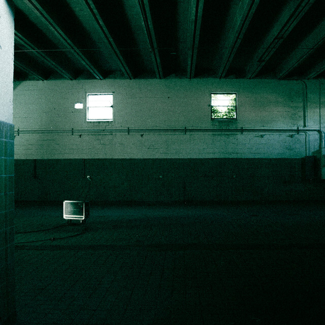 bottles (I loved you) - little image - usa - indie - indie music - indie pop - indie rock - indie folk - new music - music blog - wolf in a suit - wolfinasuit - wolf in a suit blog - wolf in a suit music blog